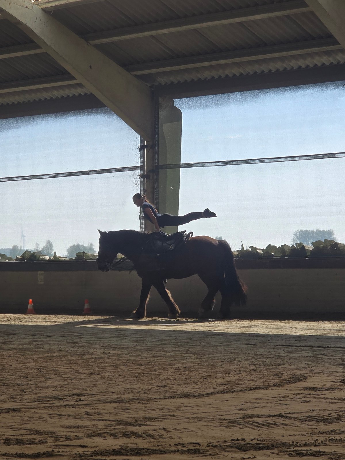 Equestrian vaulting training session held in Estaimpuis arena