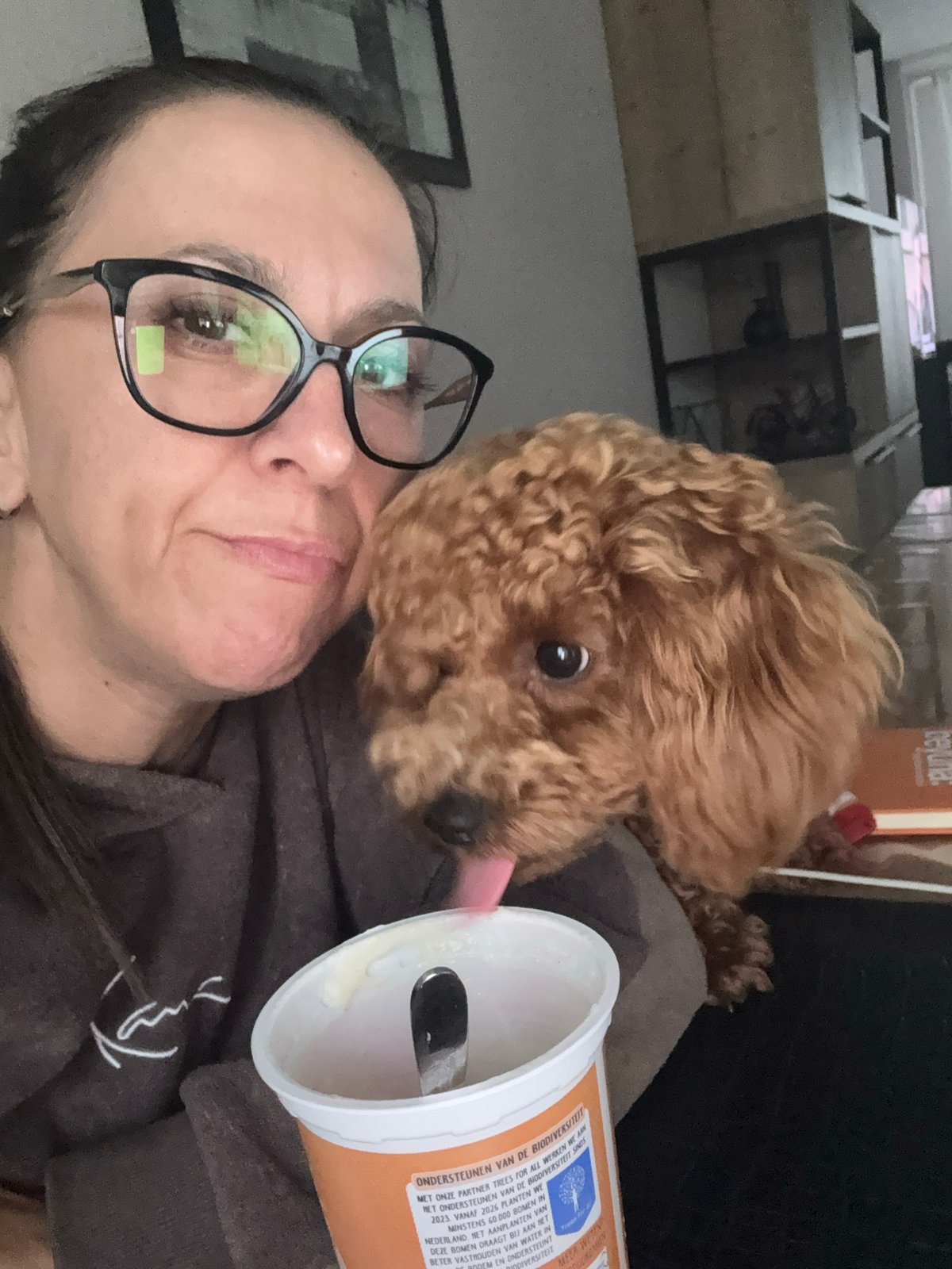 Cozy moments with a small brown dog at home in Marum