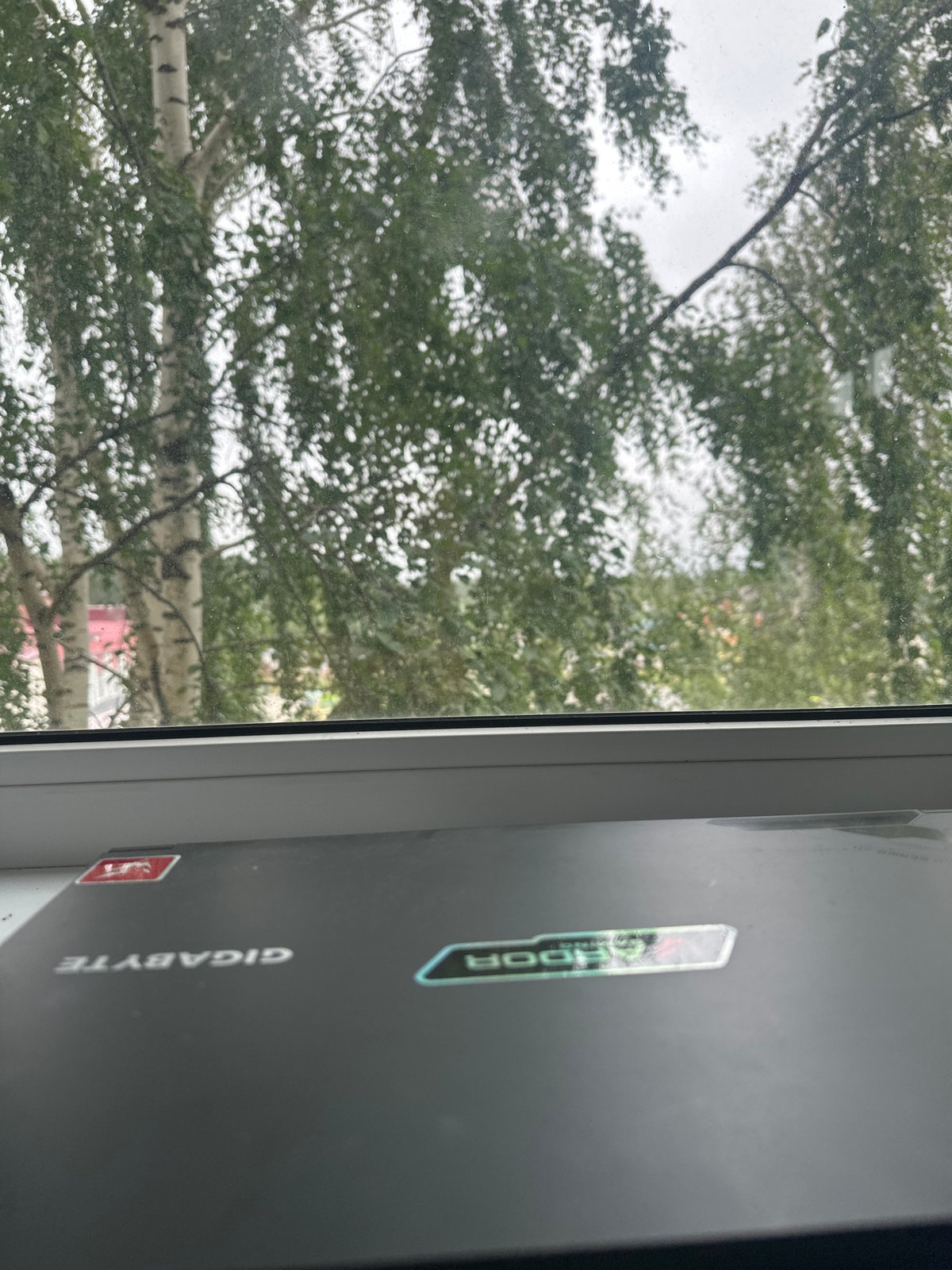 Laptop on a windowsill, birch trees outside in Plesetsk