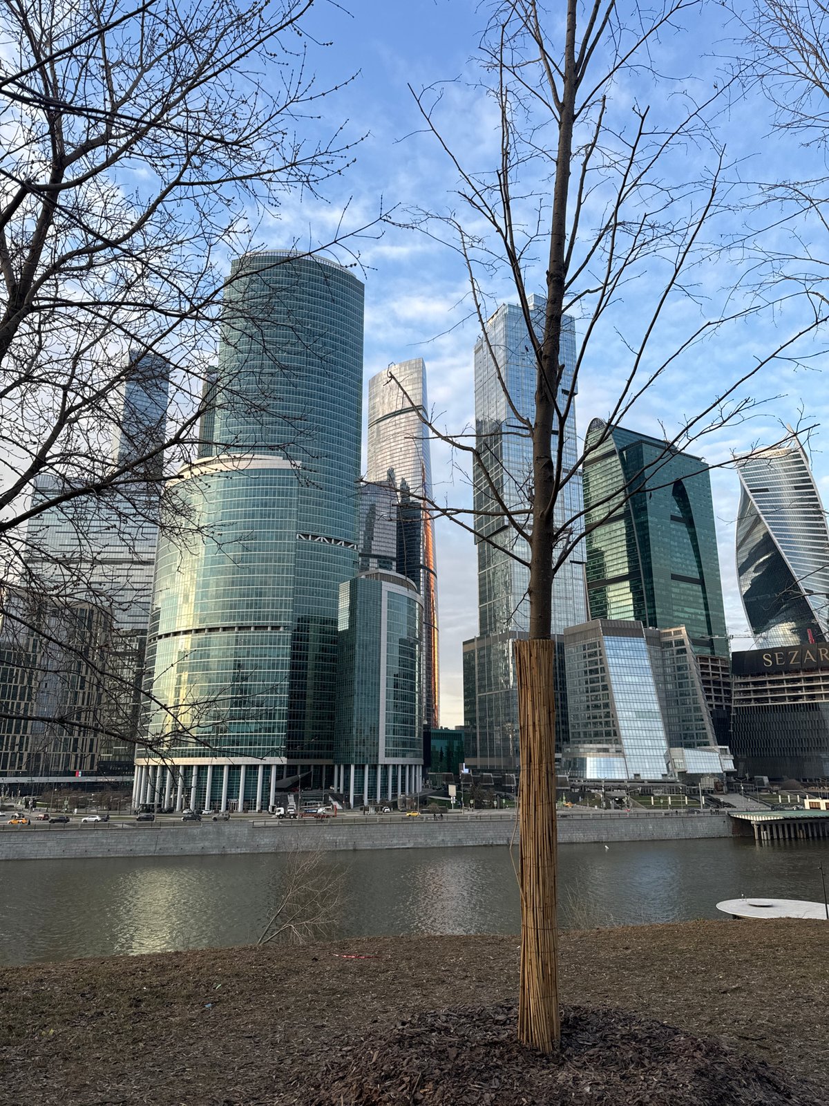 Moscow City business district photographed from riverbank vantage point