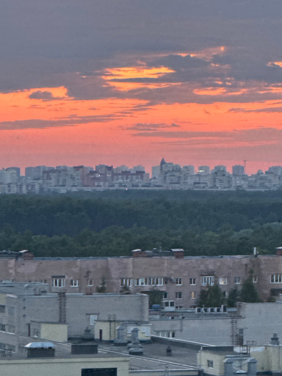 Woman documents evening at home with selfies, puppy, cityscape views