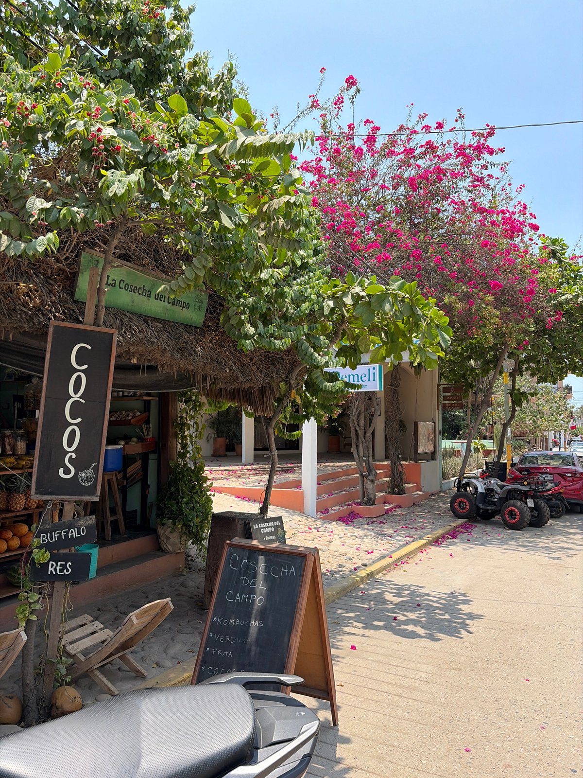 Afternoon stroll documented in Brisas de Zicatela, Mexico