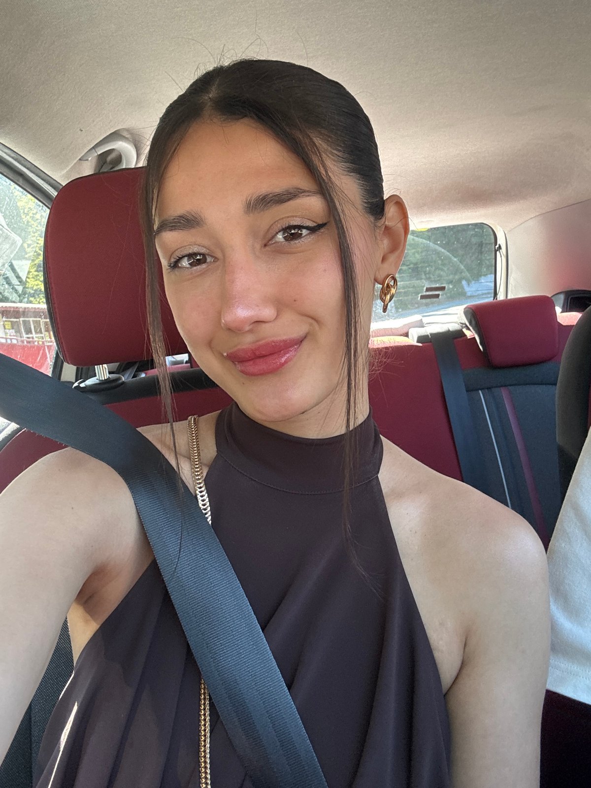 Person spotted in vehicle in Golubovići, Montenegro