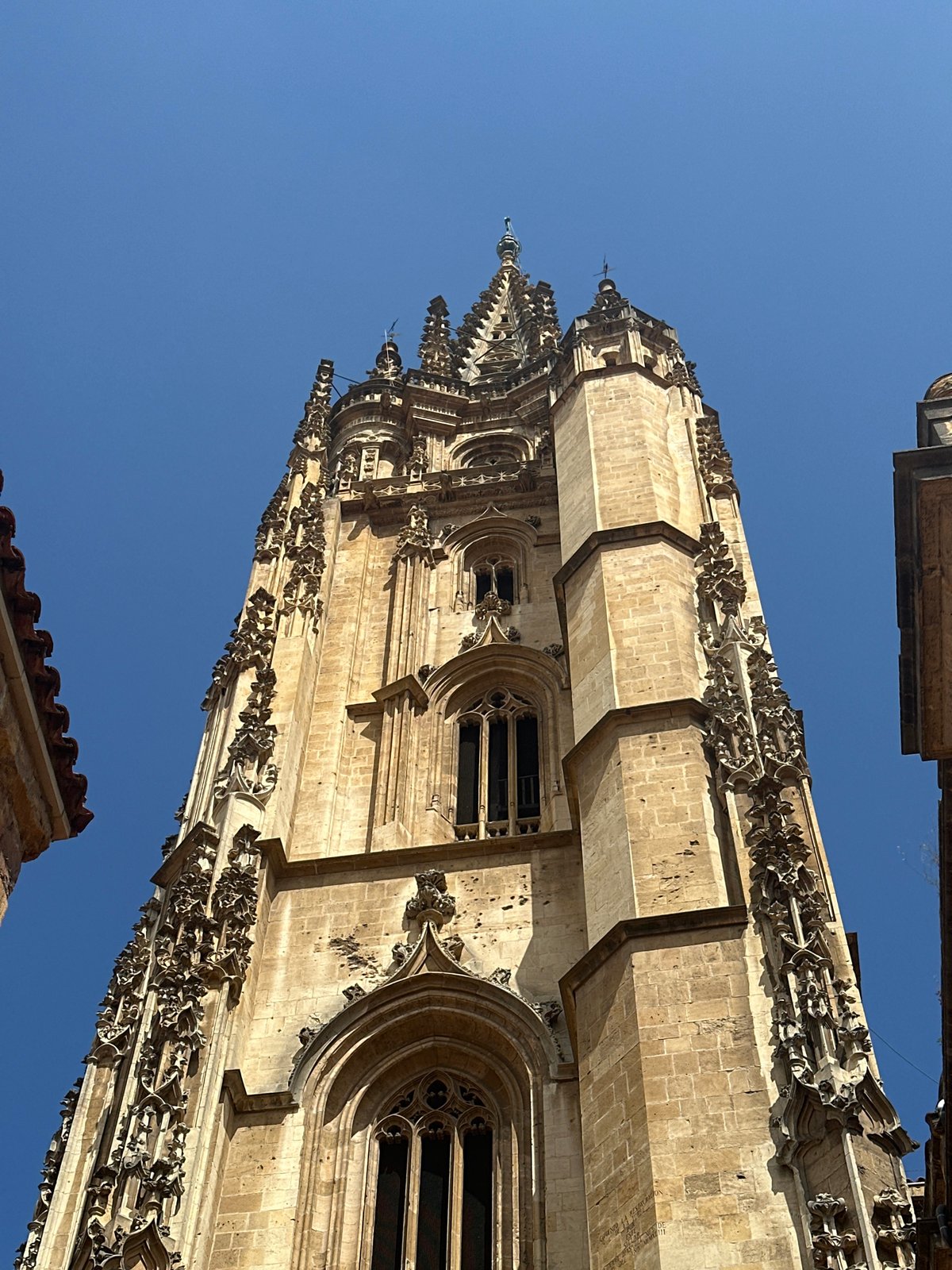 Up-close with Oviedo Cathedral's Gothic stonework on a sunny morning