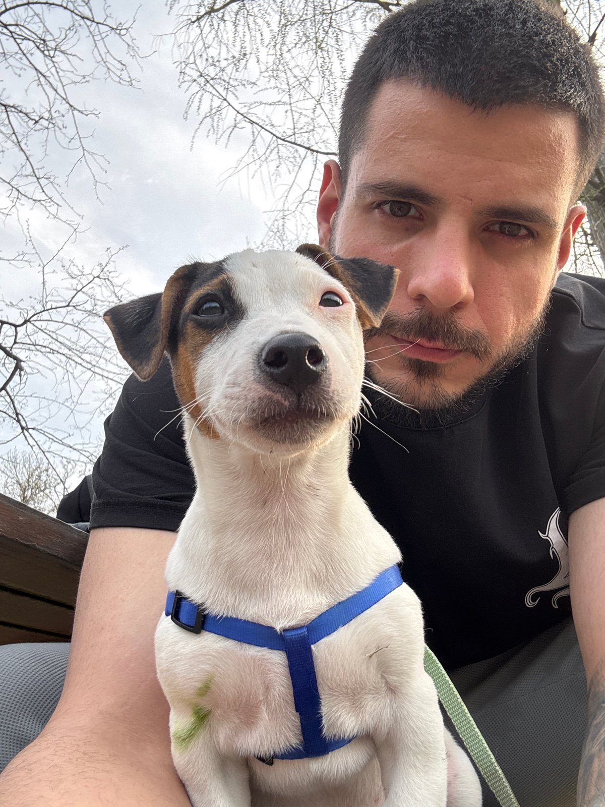 Everyday moments captured in Plovdiv: puppy and stadium
