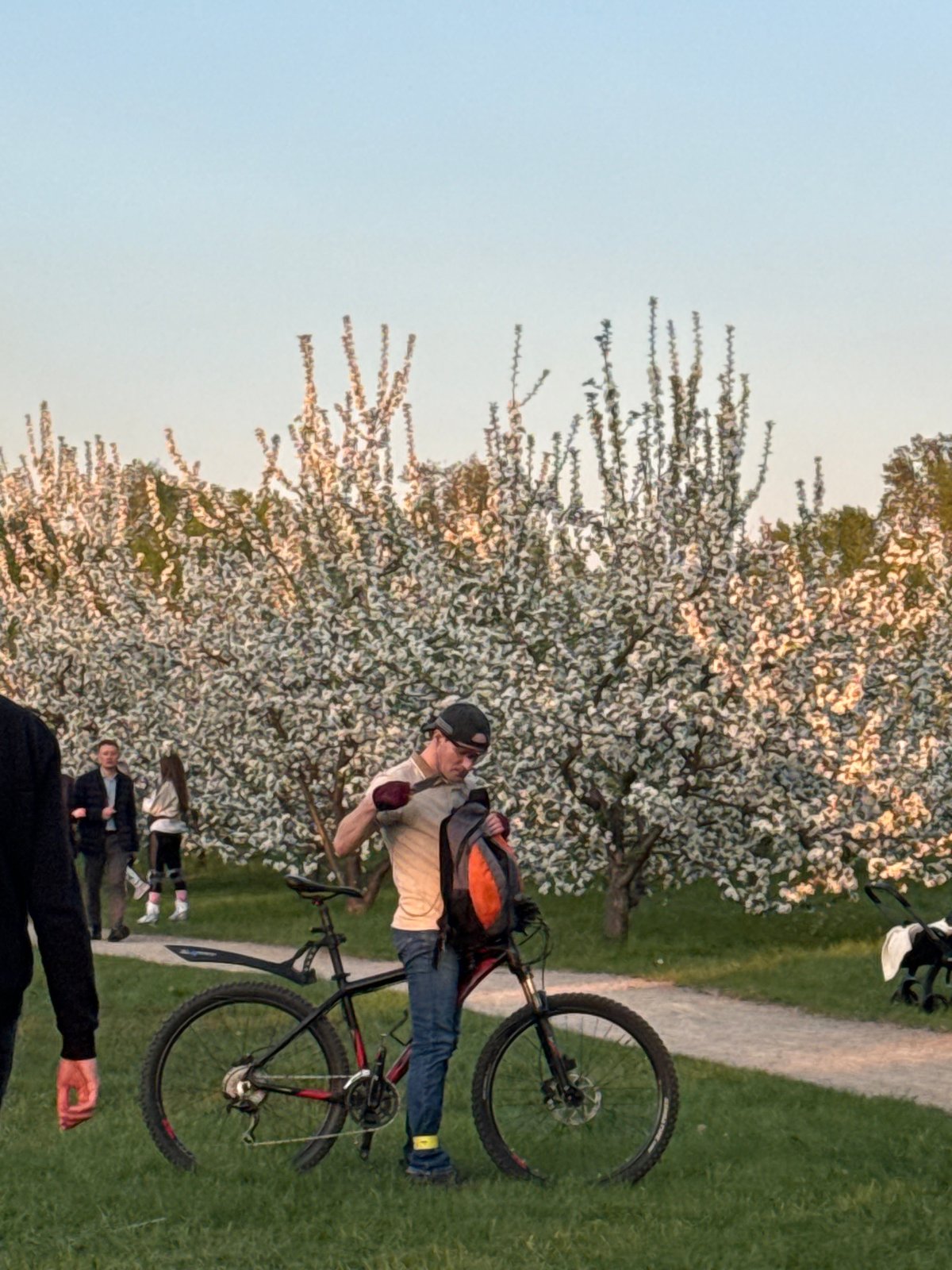 Spring park activity observed in Krasnoyarsk amid blooming trees