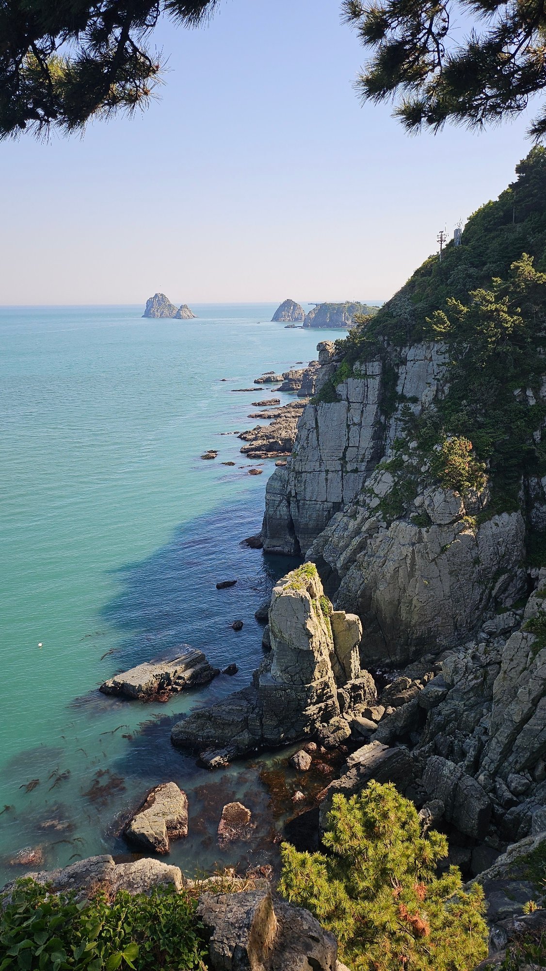 Morning coastal views captured along Busan's rocky cliffs