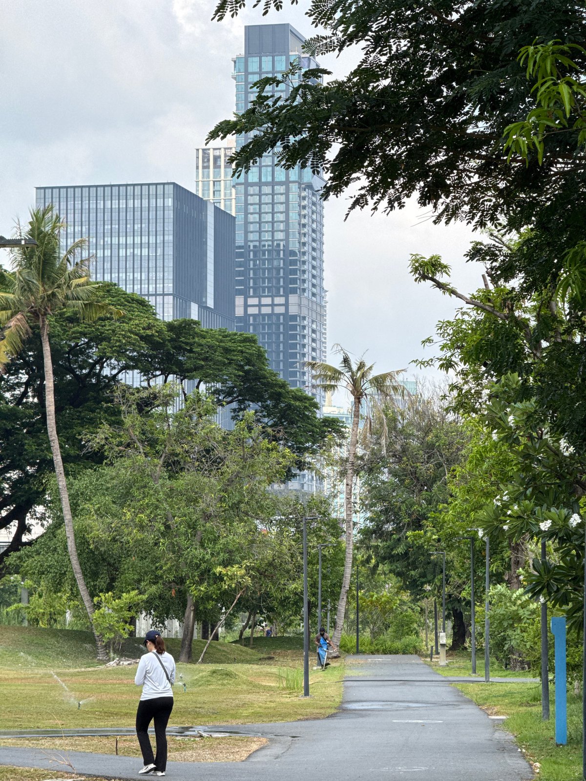 Bangkok park scene shows greenery with high-rise backdrop