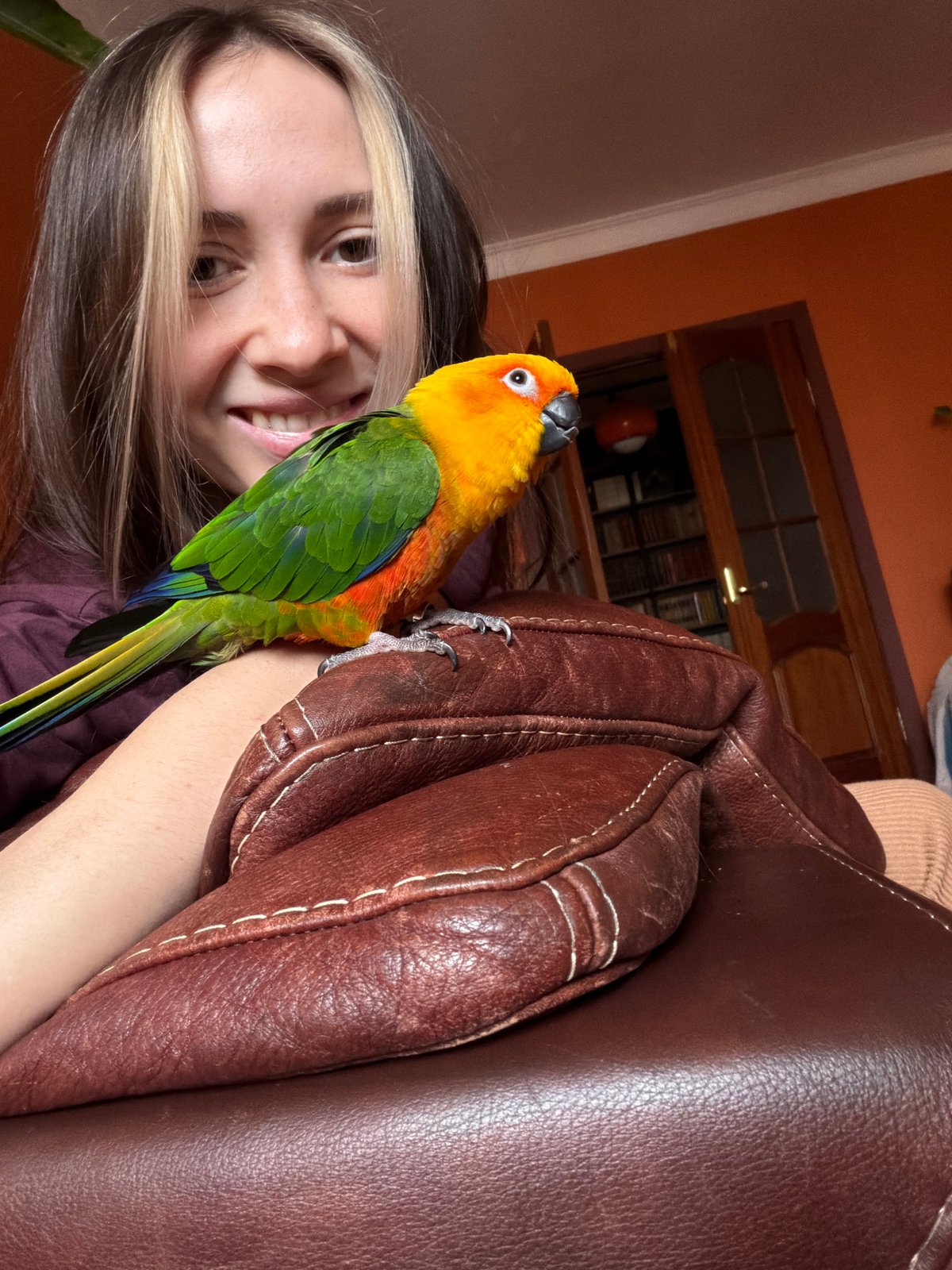 Woman poses with parrot, cat spotted on couch in Khimki