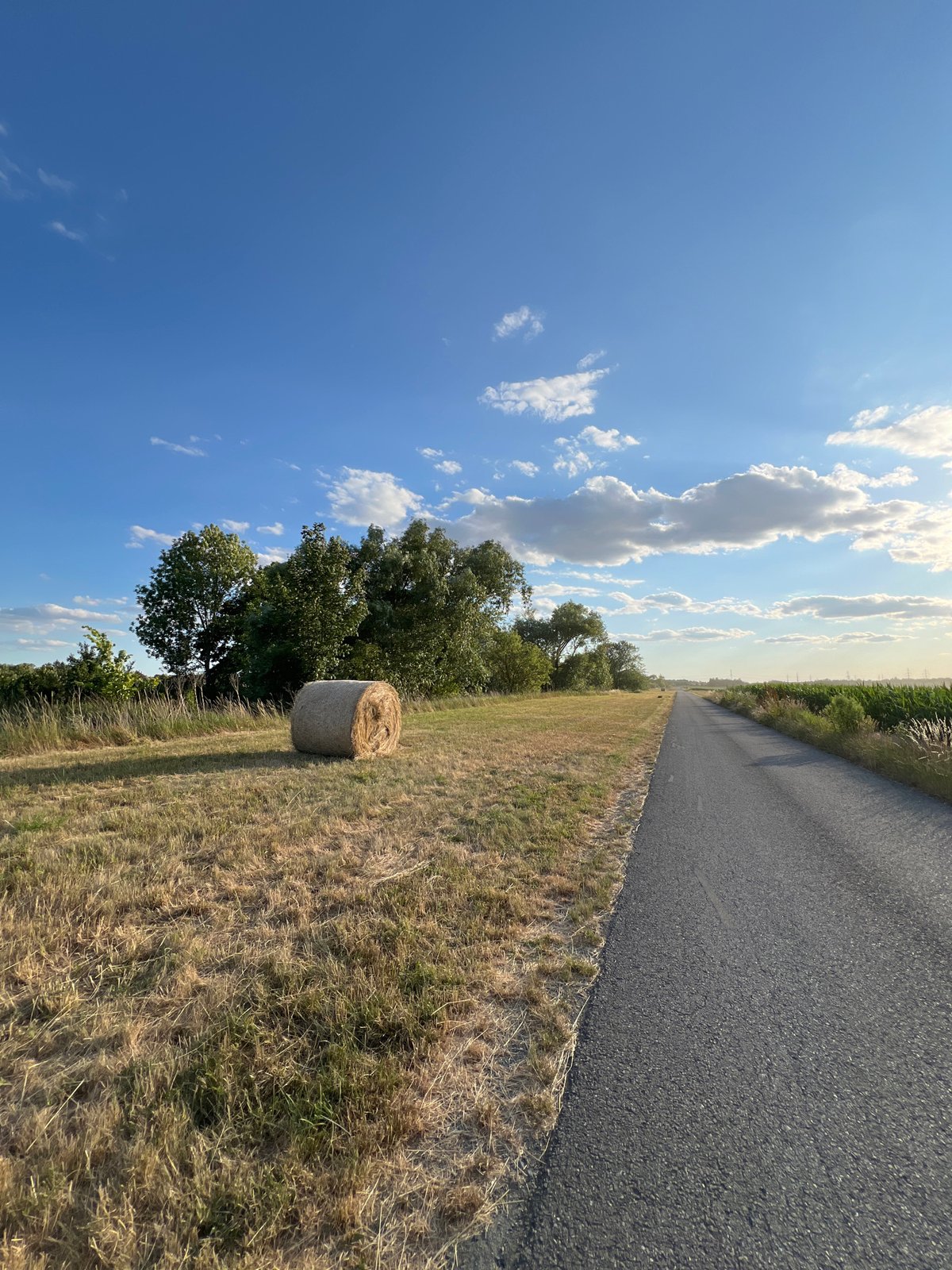South Moravian countryside on a summer afternoon