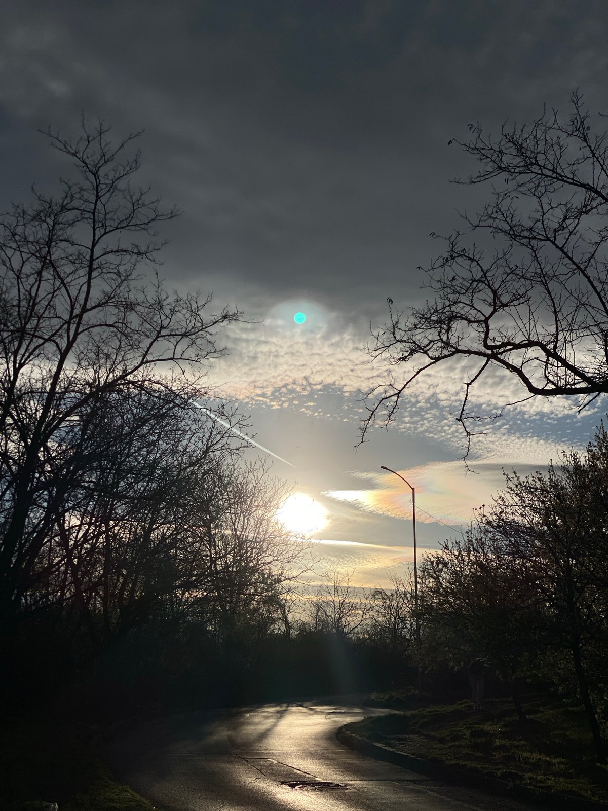 Man in leather jacket photographed around Pleven with dog