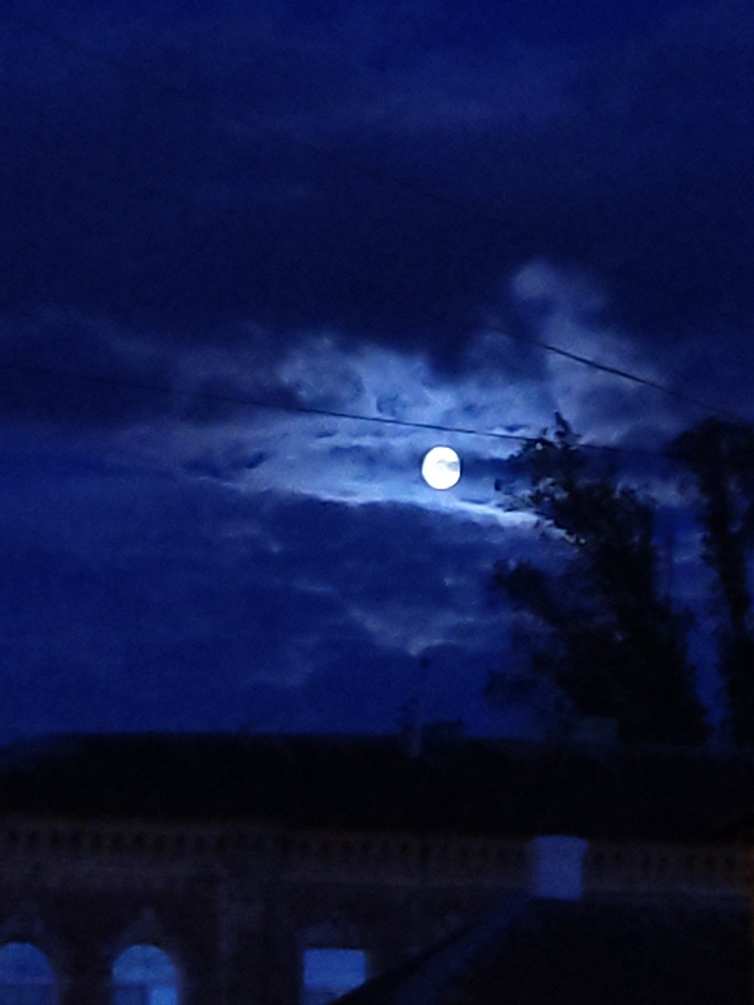 Evening observations capture moon, building, cat, and birds
