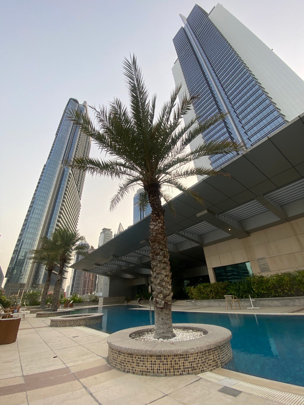 Dubai skyline captured from poolside vantage point