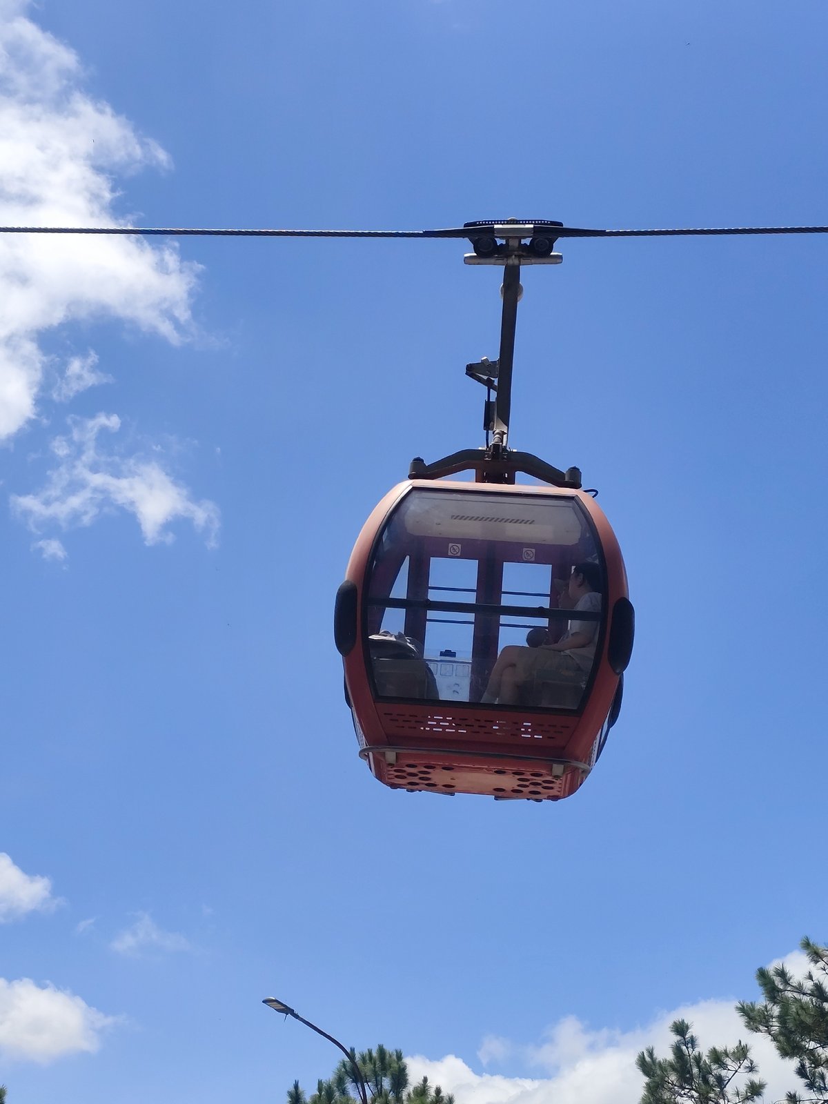 Colorful cable cars glide over Da Lat's pine-covered hills