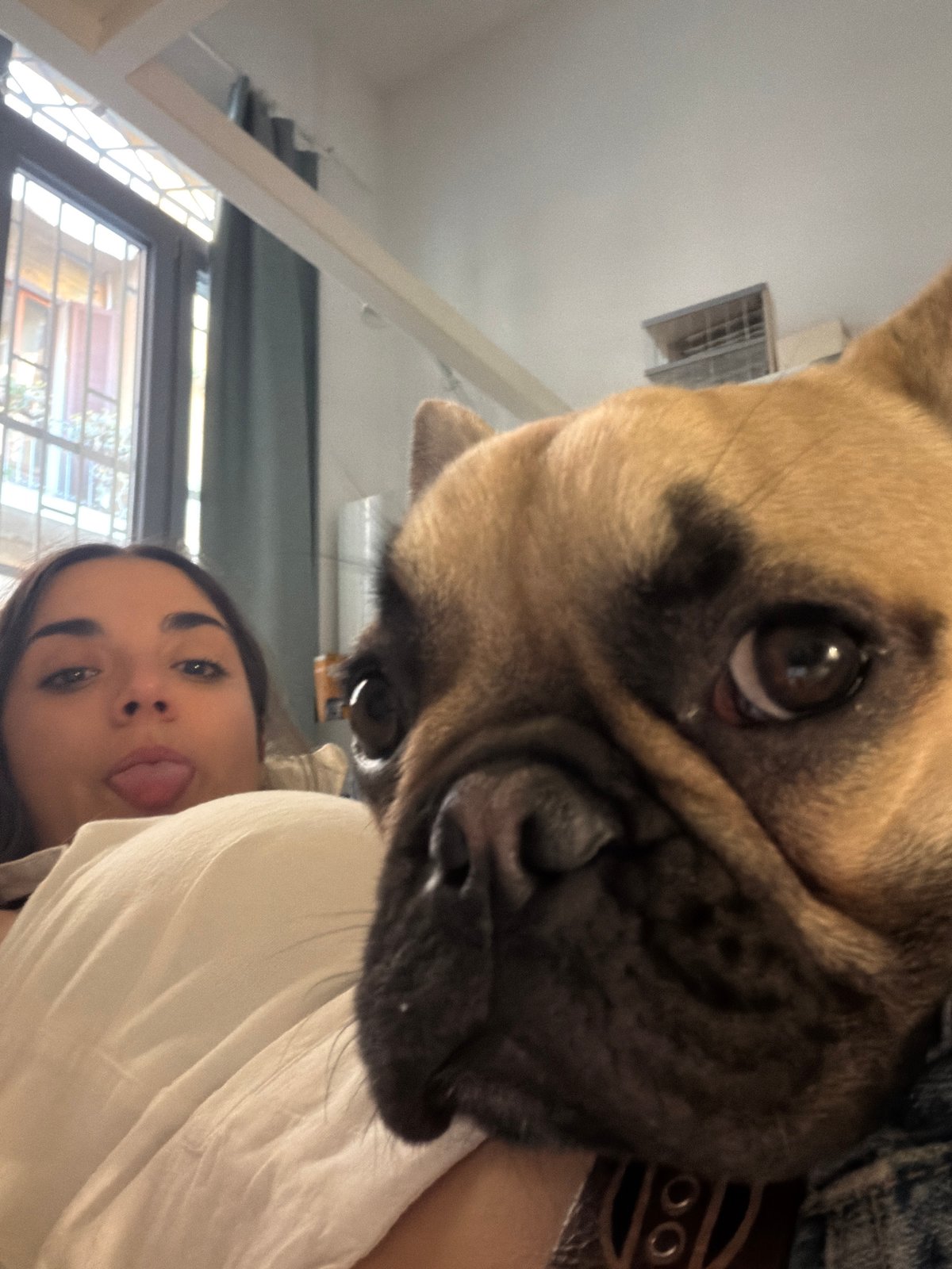 Woman poses playfully with French Bulldog in Milan