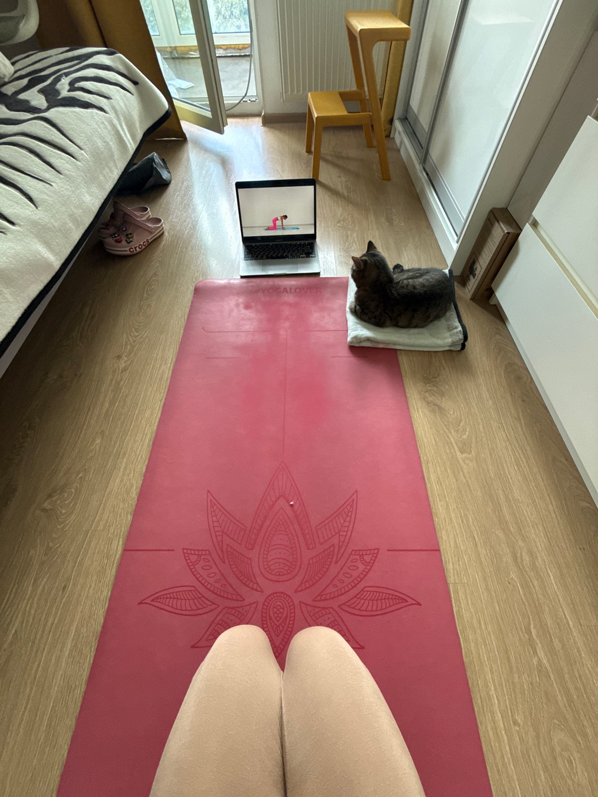 Lazy Sunday morning at home in Saint Petersburg