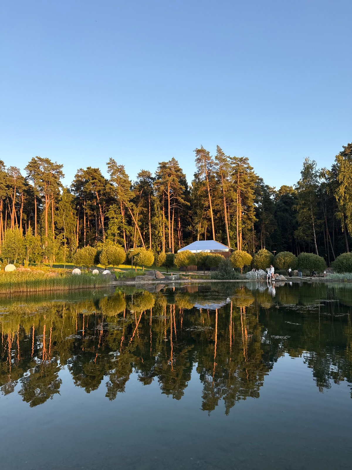 Still lake mirrors pine forest outside Shulgino