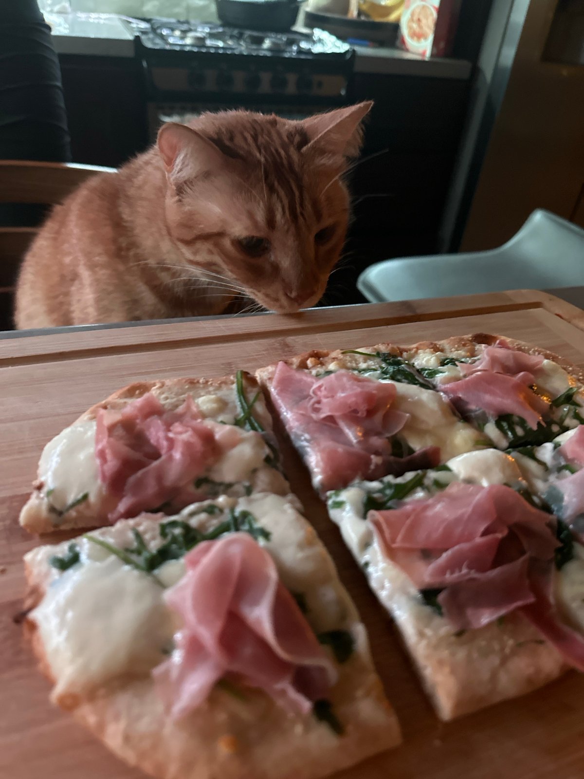 Ginger cat observed in domestic moments over 16-minute span