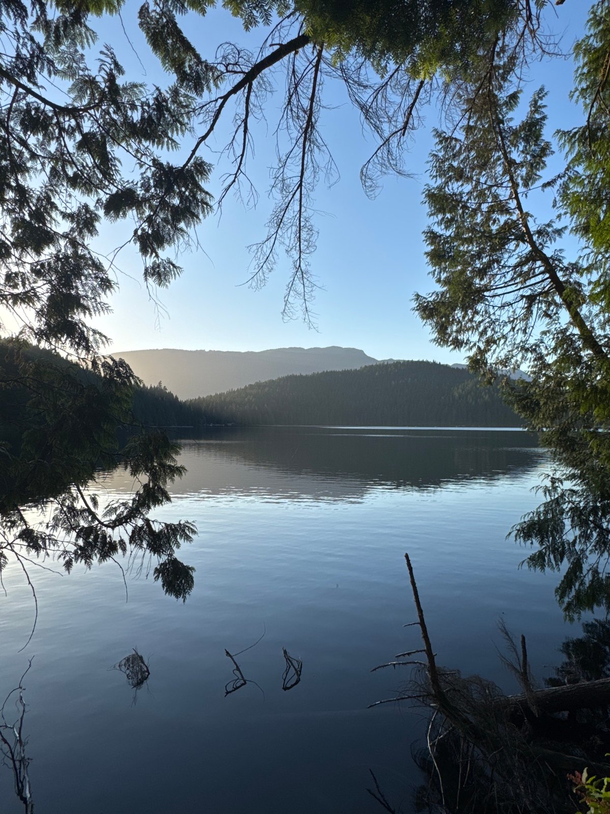 Golden hour calm at a Port Moody waterfront