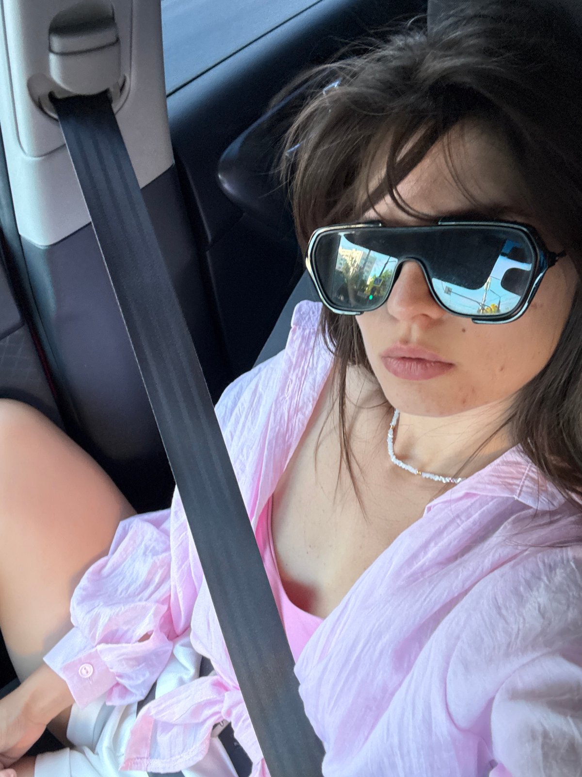 Car ride selfies and a blue-tailed dog on brick paths