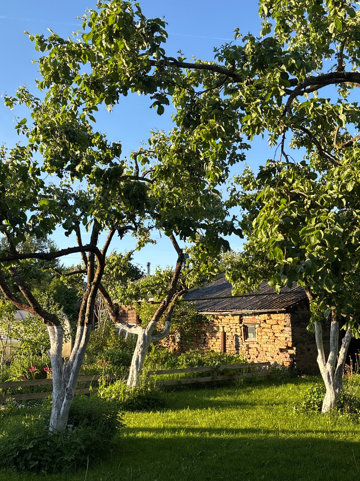 Summer Evening Life Documented in Russian Village Bolshaya Ivanovka