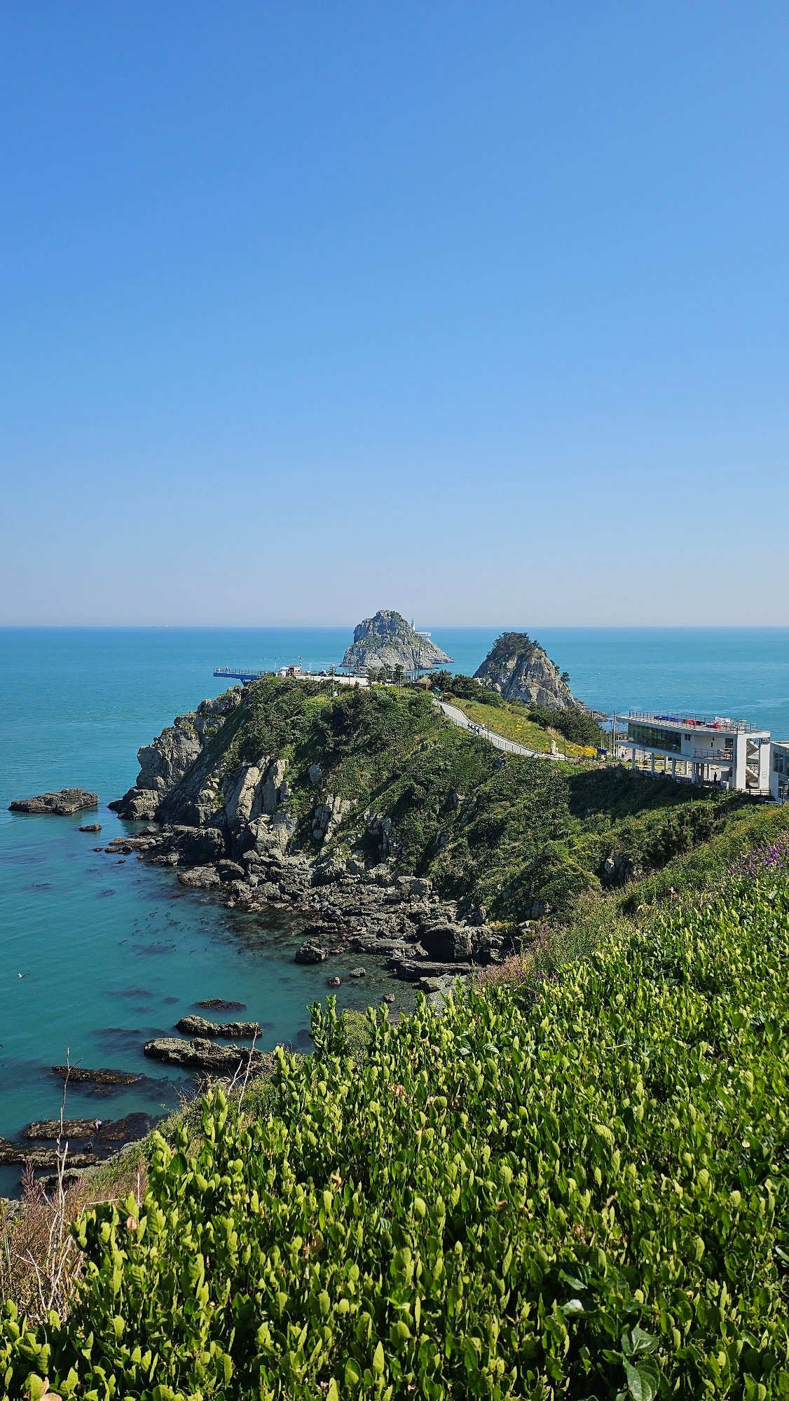 Morning coastal documentation captures Busan's rocky shores and statues