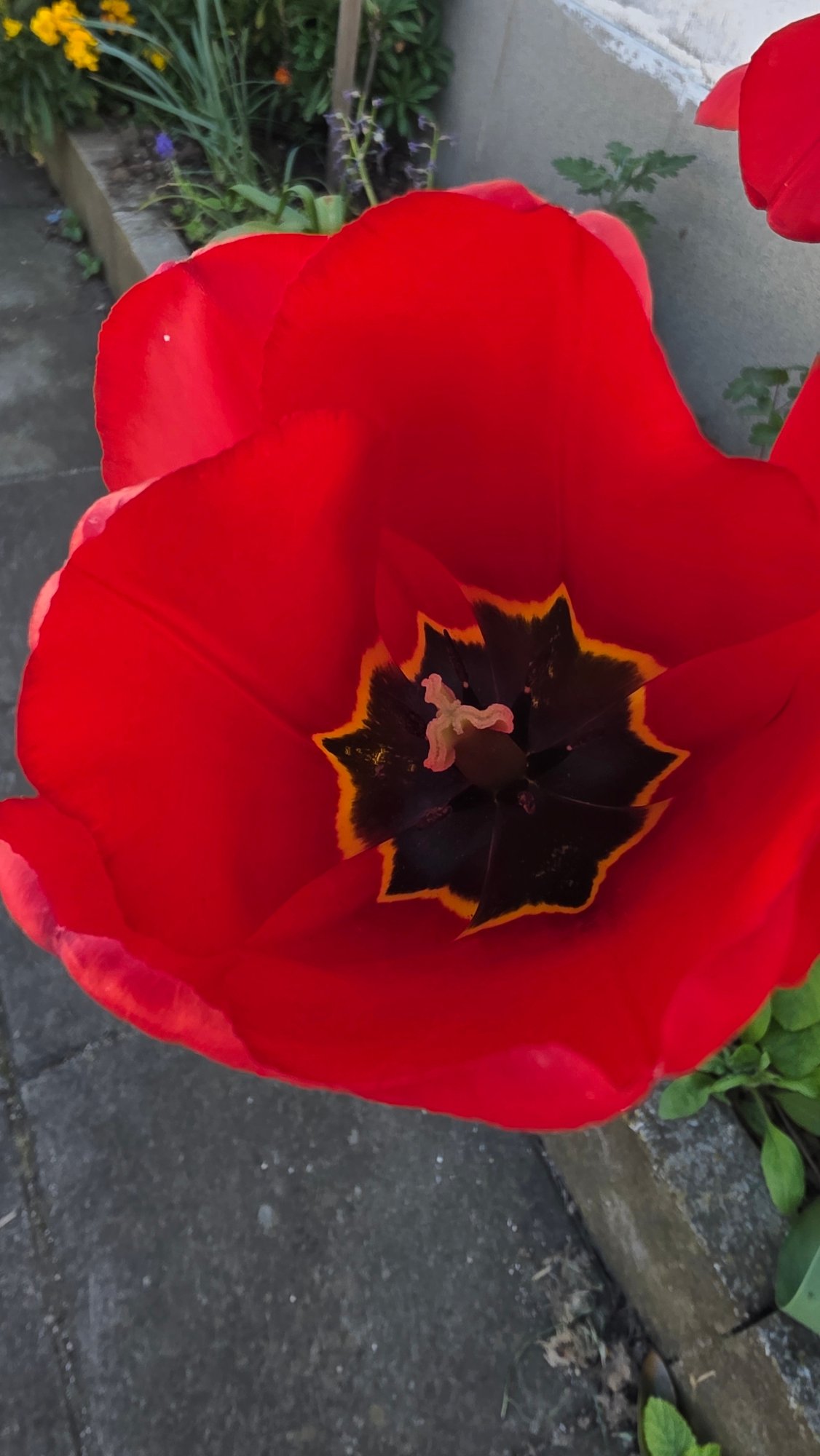 Spring day snapshots captured across Blagoevgrad, Bulgaria