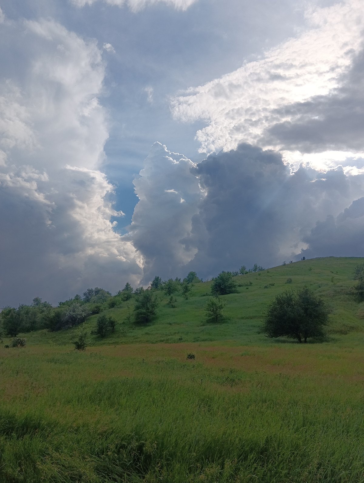 Sheep and cattle graze in countryside under dramatic skies