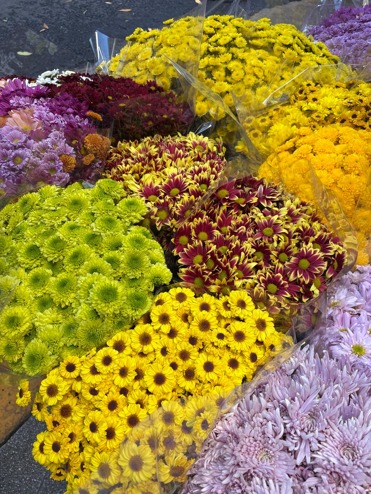 Afternoon stroll documents Buenos Aires flower markets, monuments, street life