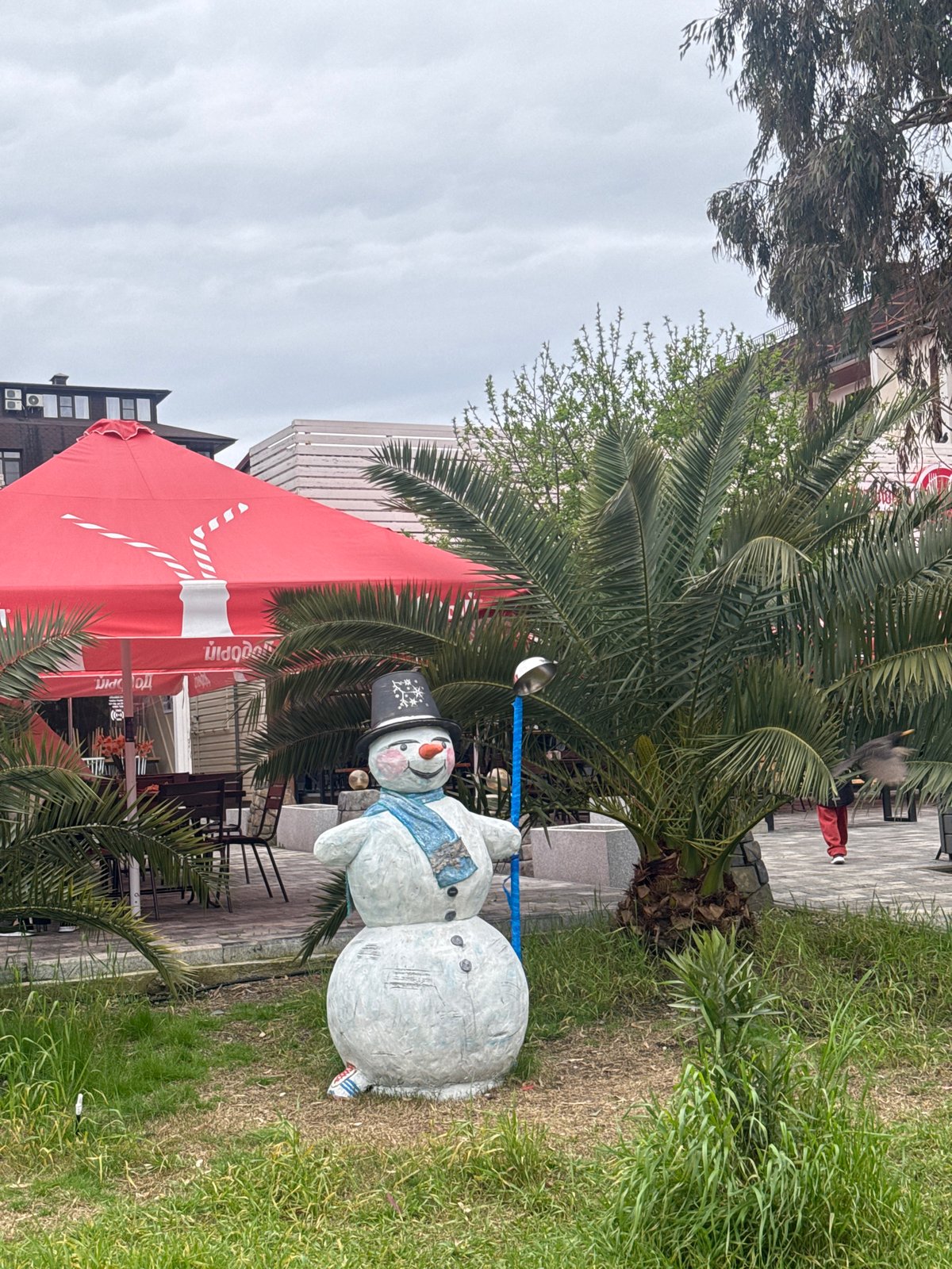 Snowman spotted at sidewalk cafe with tropical setting in Russia