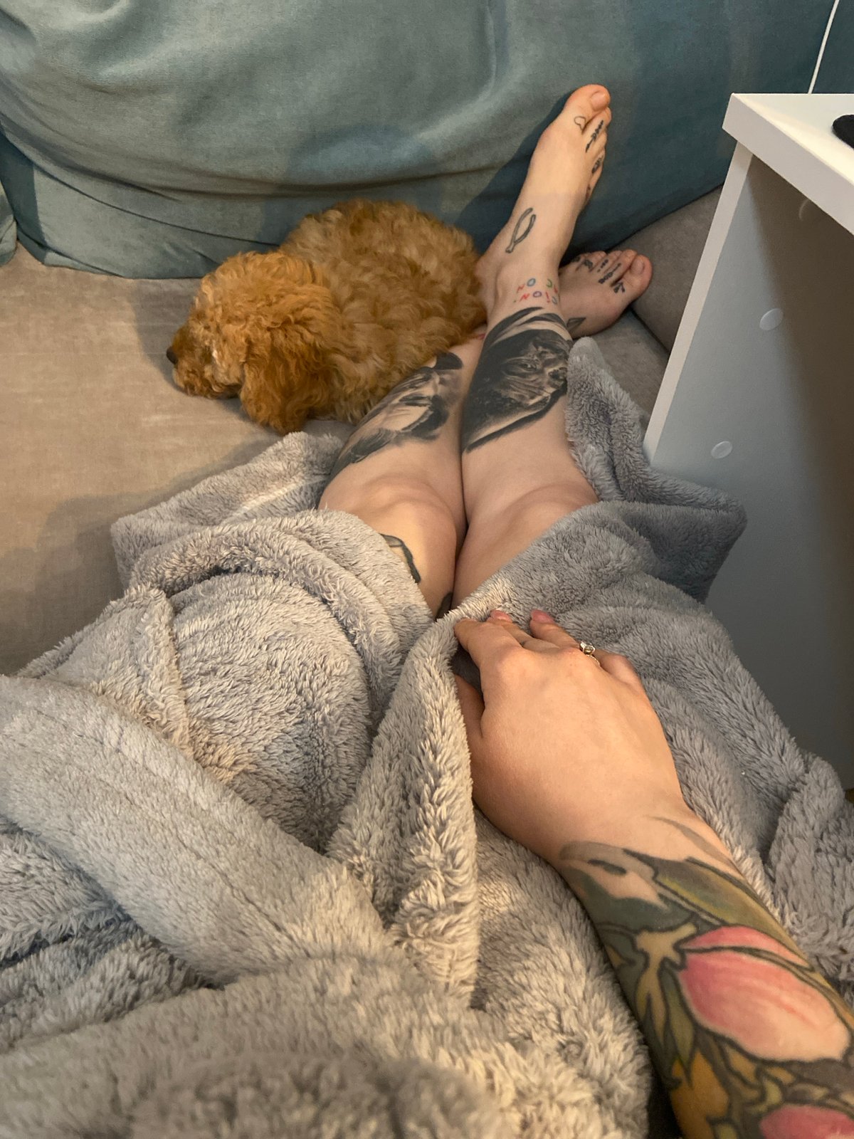 Person relaxes with small dog on sofa in Saratov home