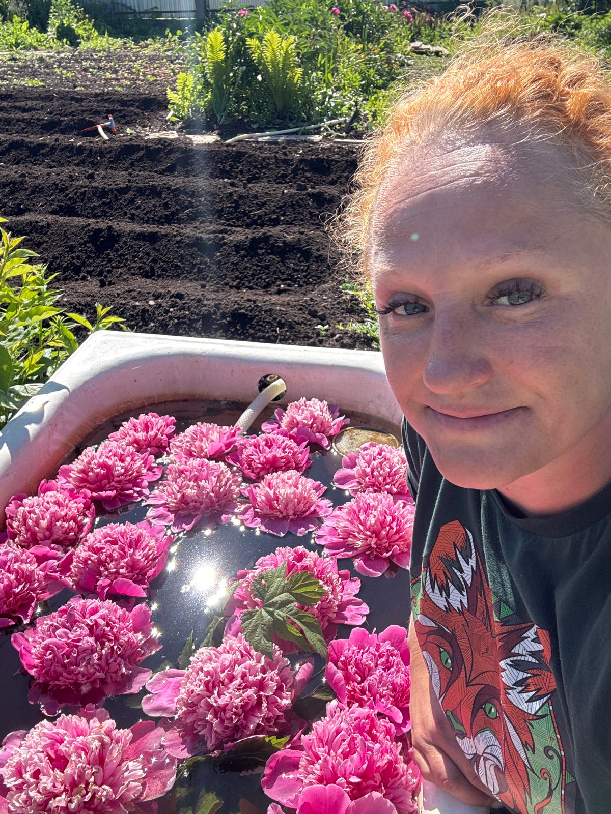 Woman documents early morning garden activities in Chaikovsky Russia