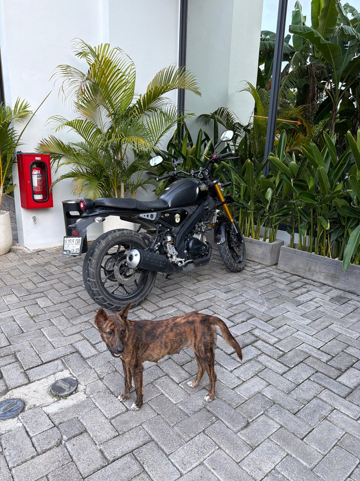 Morning street life documented in Kuta Selatan, Indonesia
