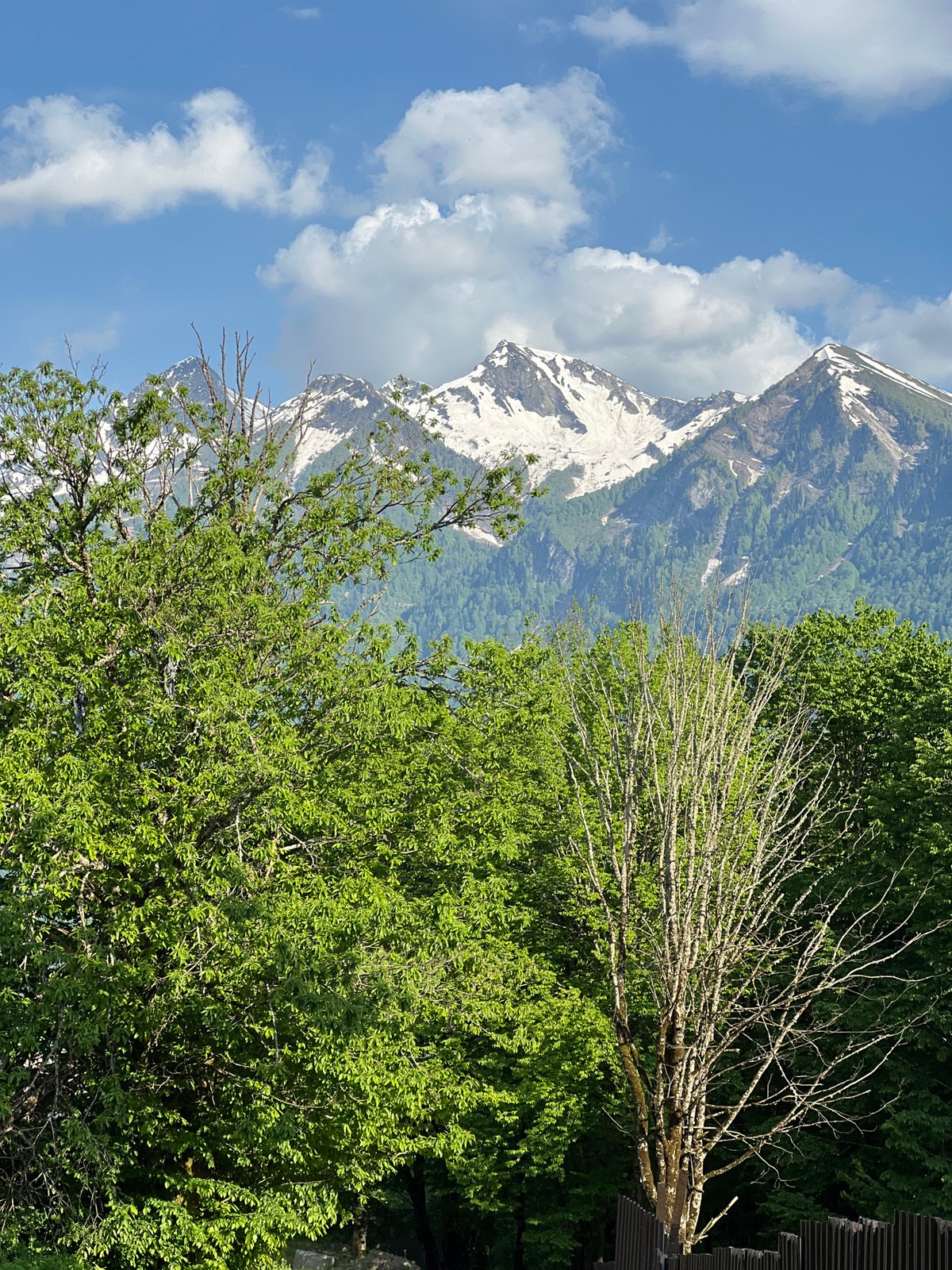 Clear day scenery documented in Krasnaya Polyana mountains
