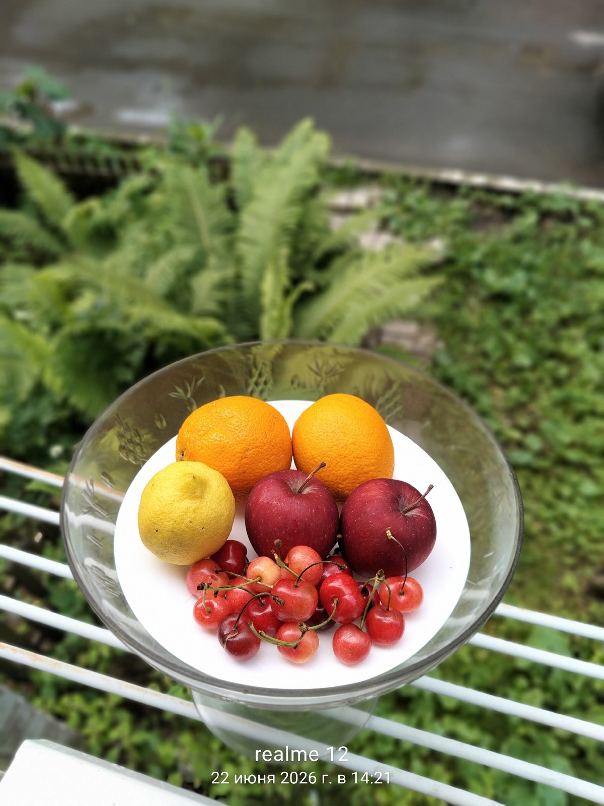 Everyday snapshots from a home in Shchyolkovo, Russia