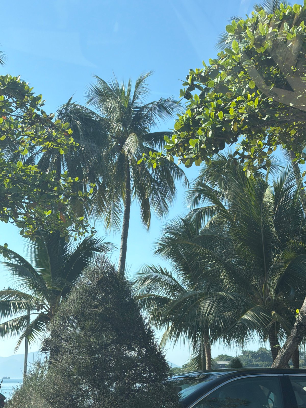 Sunny morning in Nha Trang: beach, streets, and bakery
