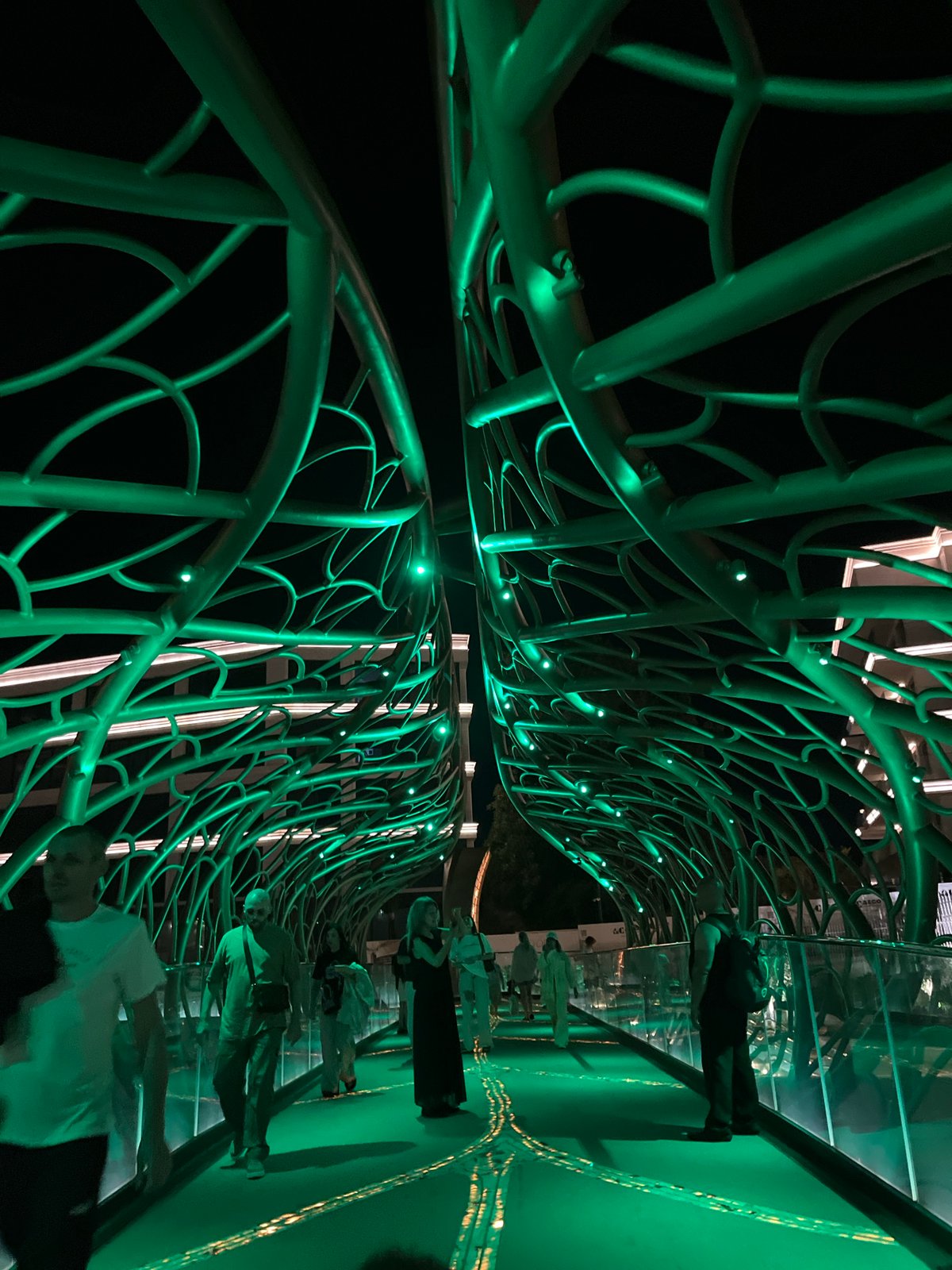 Evening stroll memories captured across illuminated Sochi attractions and coastline