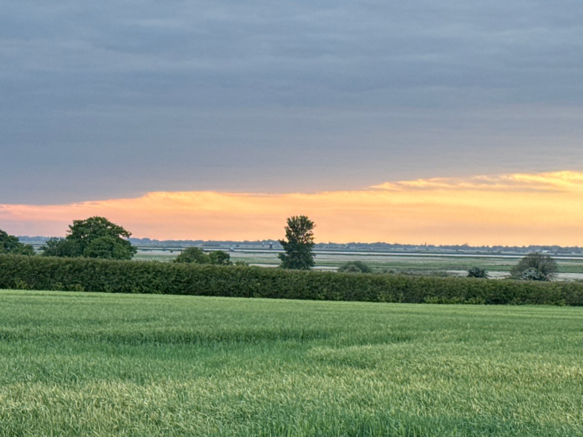 Rural Great Yarmouth countryside documented near Bradwell Hall at sunset