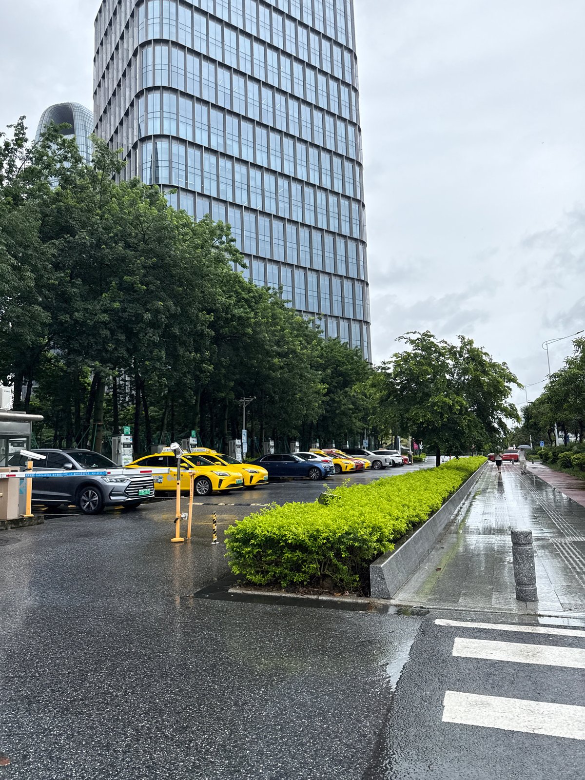 Wet streets and glass towers on a rainy Haizhu morning