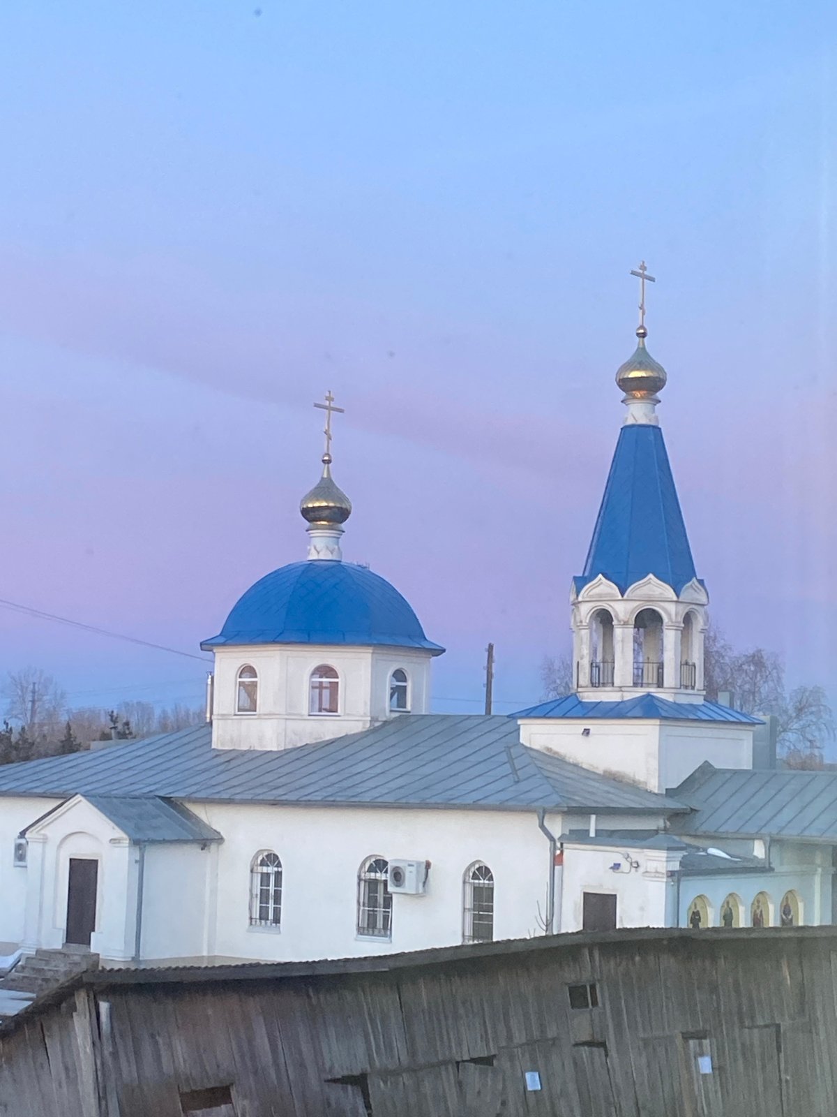 Family documents quiet Sunday with beloved gray cat in Noviy