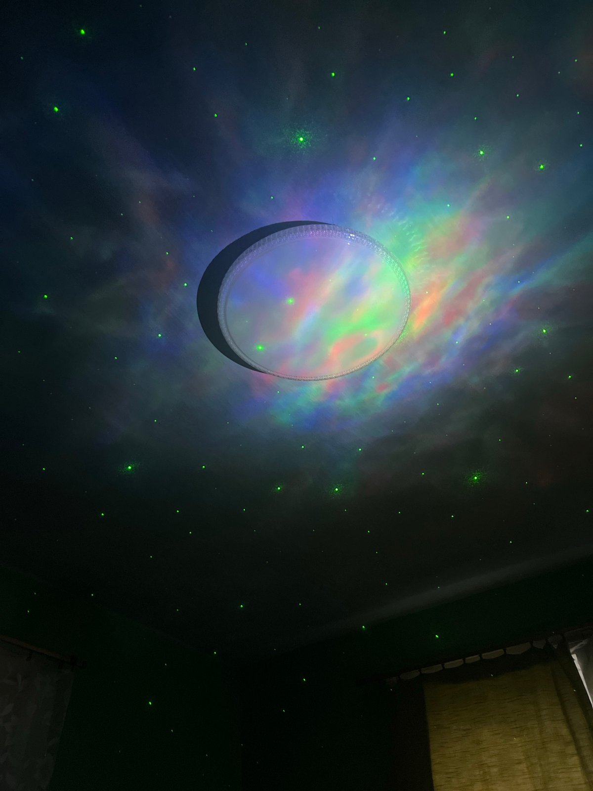 Domestic scenes with cat, light projections recorded in Nizhny Tagil