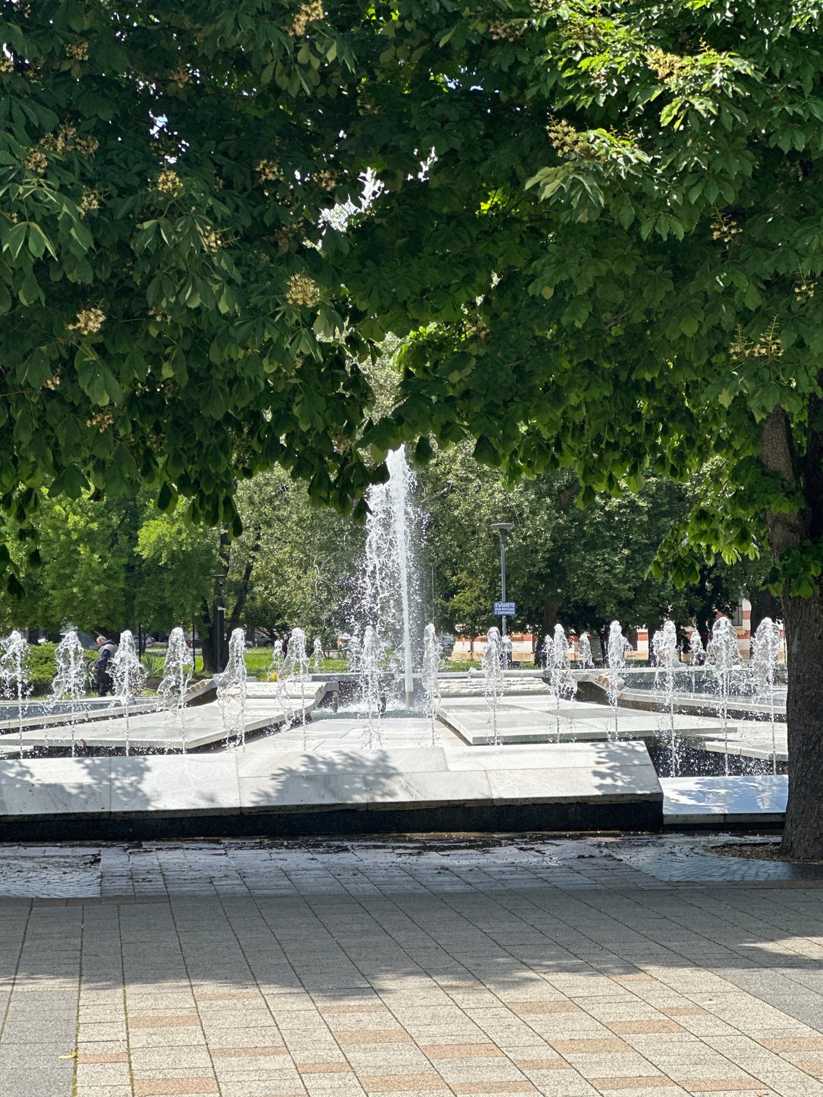 Woman documents personal day exploring Pleven, Bulgaria attractions and activities