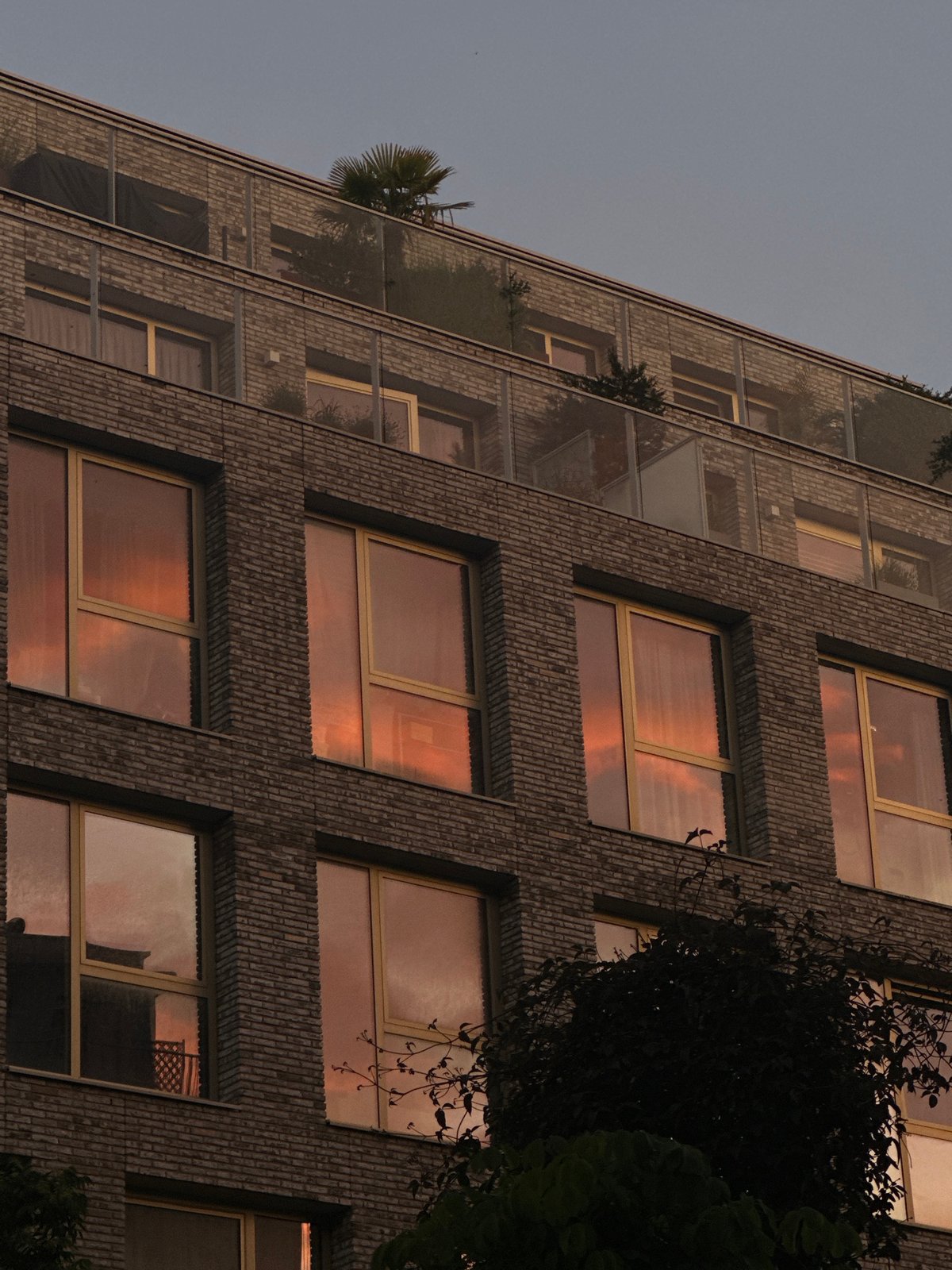Evening documentation of Amsterdam architecture and peonies captured