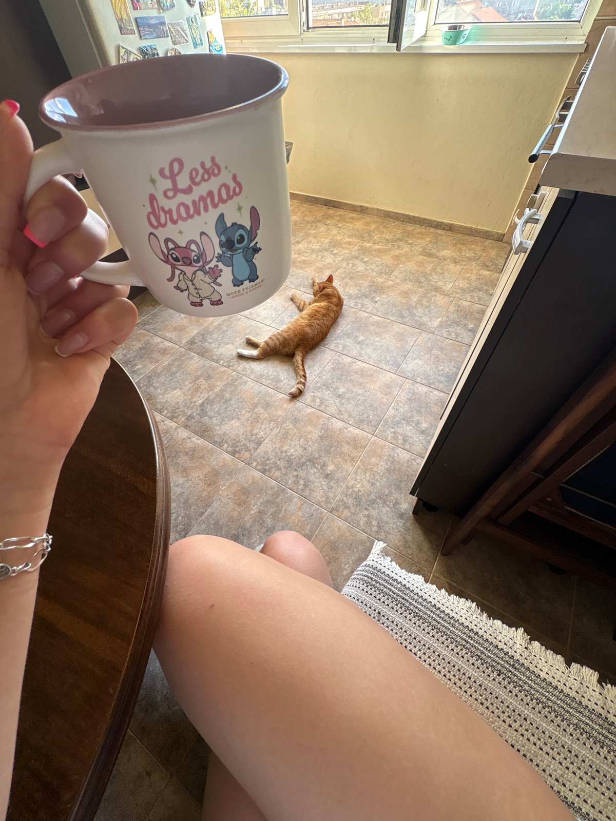 Early morning pet moments captured in Bulgarian home