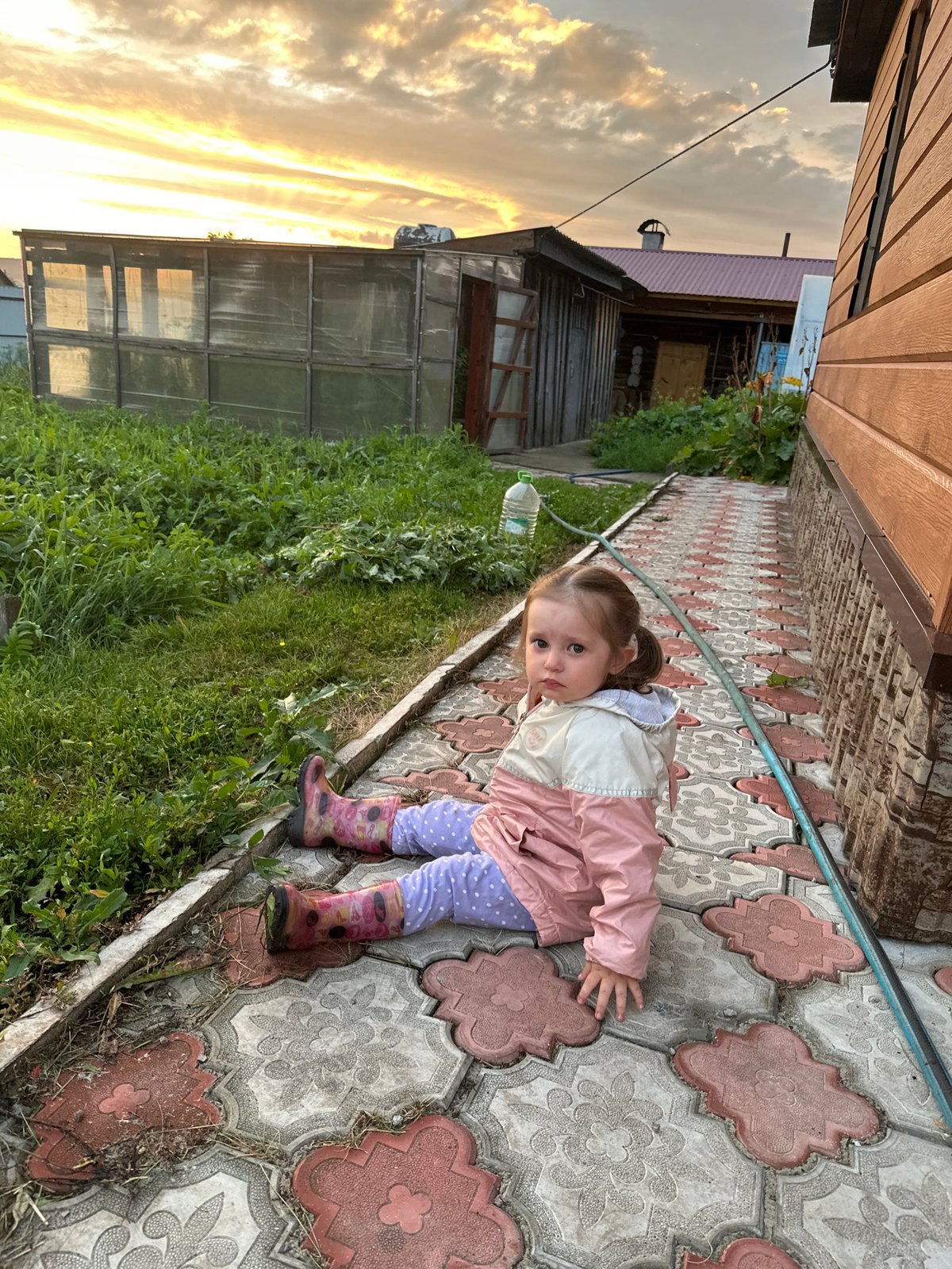 Child plays outside at sunset in rural Yaroslavka, husky watches nearby