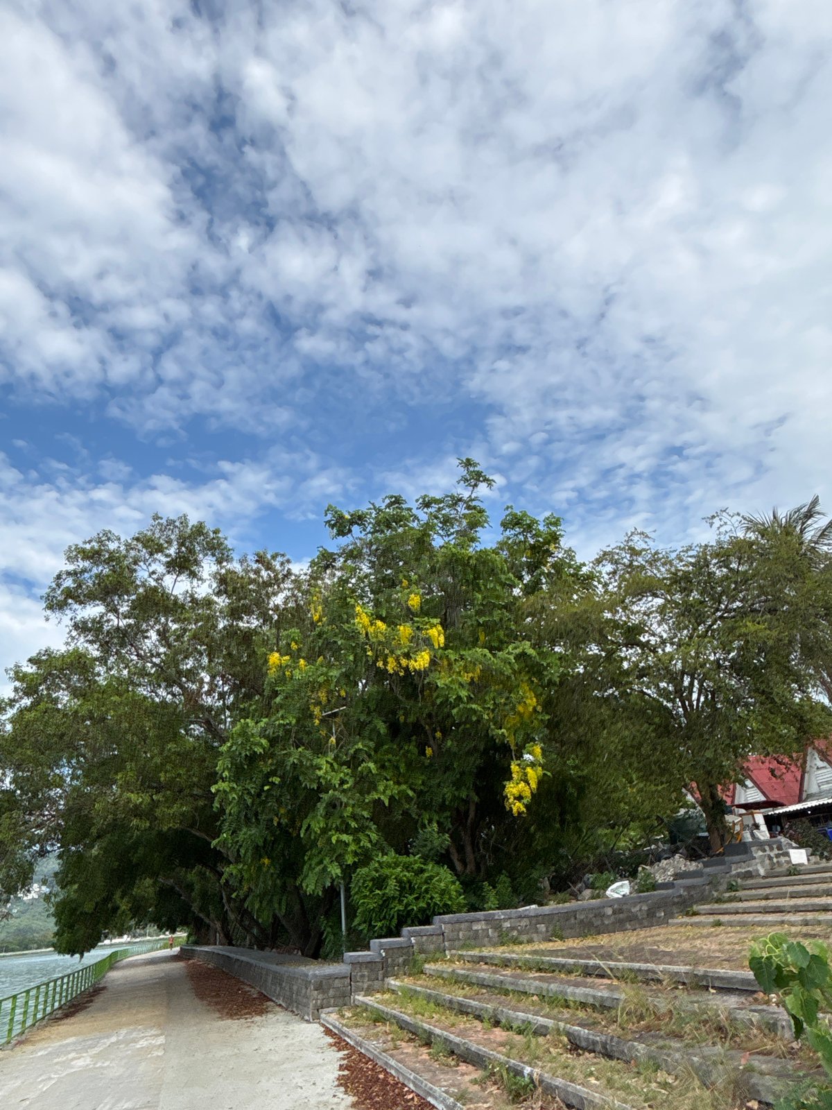 Early morning walk captured along waterfront in บ้านบางรักษ์, Thailand