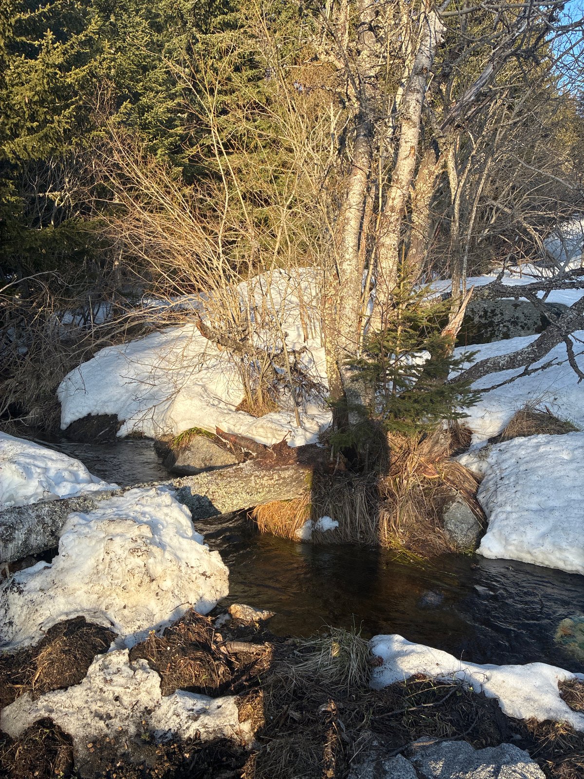 Spring melt stream flows through snowy Sofia landscape
