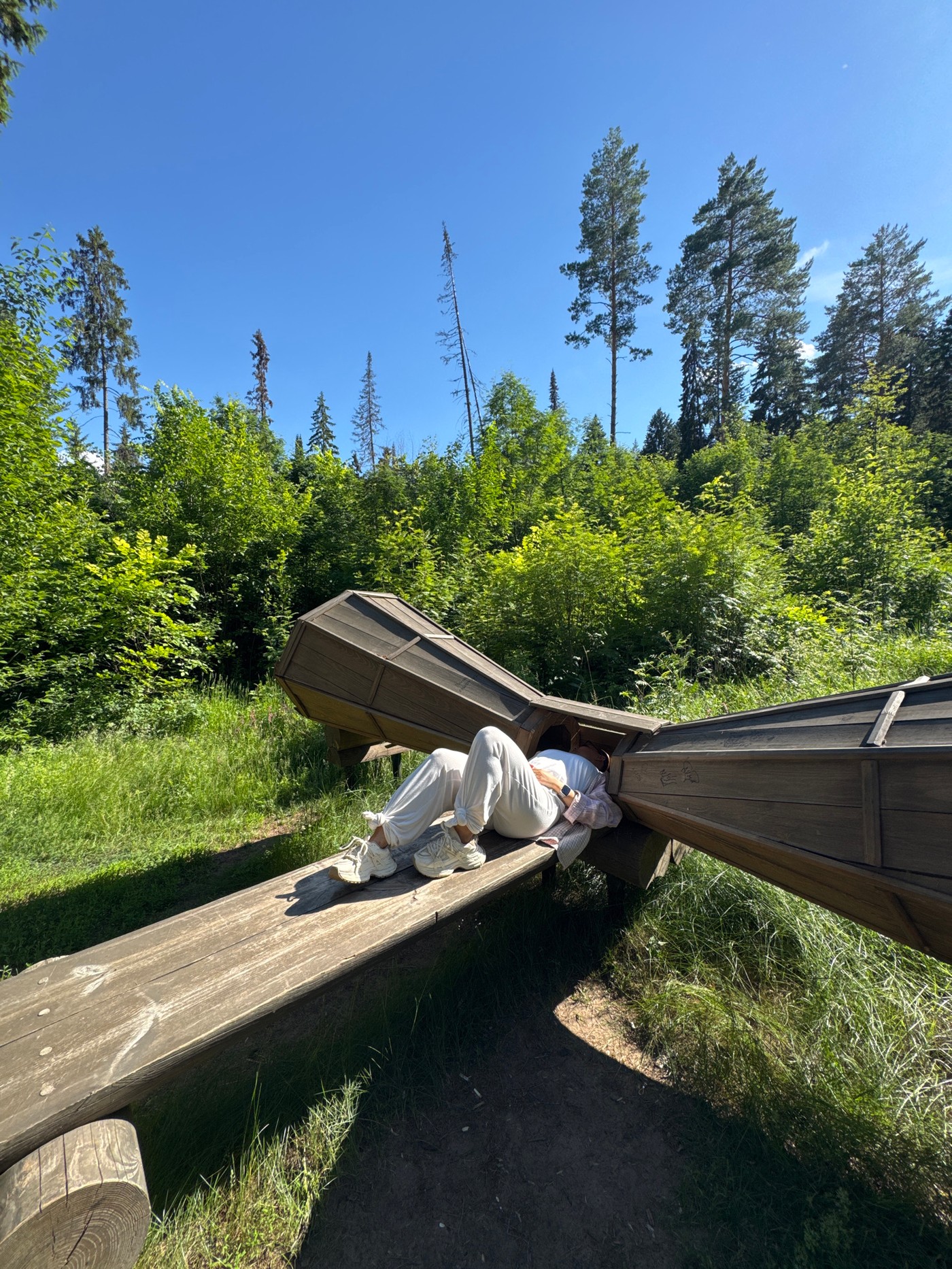 Resting on a curved wooden structure deep in a Russian forest