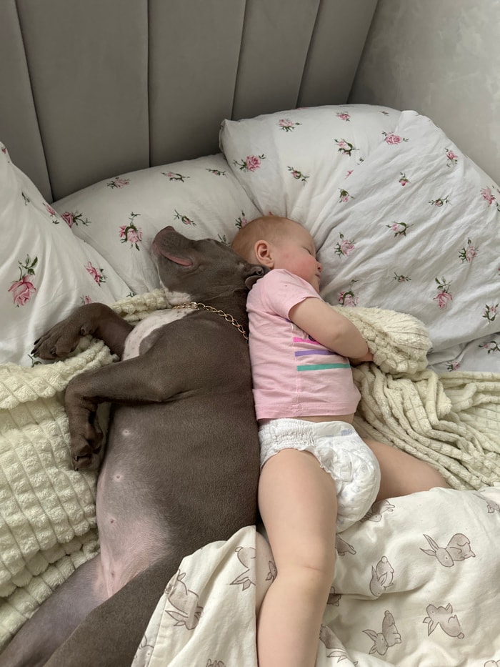 Domestic life captured in Pervomaysky: baby, dog, woman at home