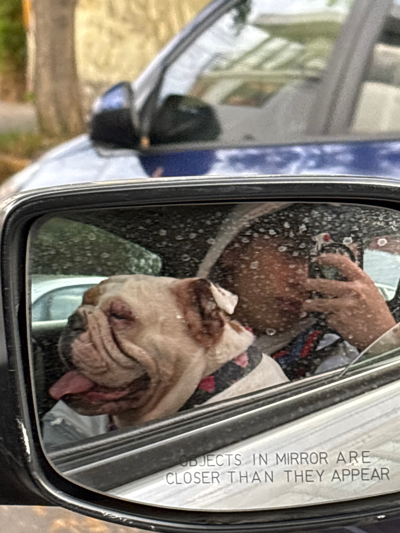 The Art of the Side Mirror Portrait in Mexico City